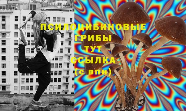 шишки Балахна