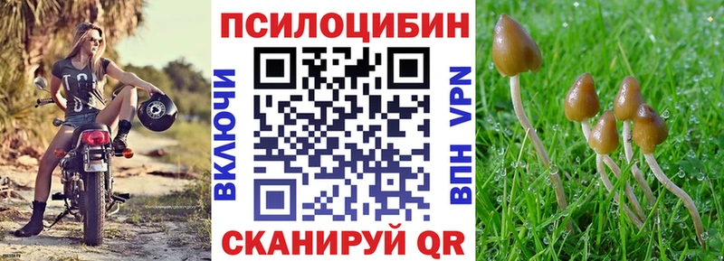 Псилоцибиновые грибы Psilocybine cubensis  где можно купить наркотик  Новый Оскол 